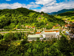 Гостиница Hotel Zdravilisce - Thermana Lasko, Лашко